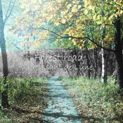 #TW26 - Croissant de Lune - Forest road