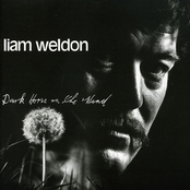 Dark Horse On The Wind