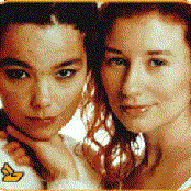 tori amos & björk