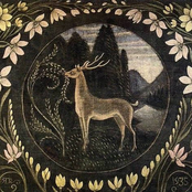 sharp teeth under moonlight