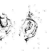 Obey The Shepherd EP