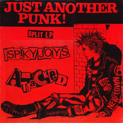 Just Another Punk Split