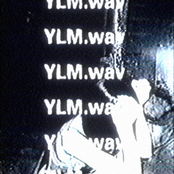 YLM