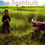 You're Streaming Again by The Flashbulb