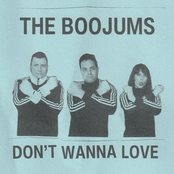 Don't Wanna Love - Single