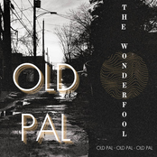 The Wonderfool: OLD PAL