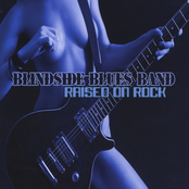 Take You Down by Blindside Blues Band