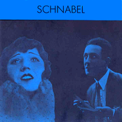 A Fairytale About a Furry Tail