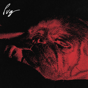 Pug