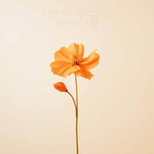 Firm Foundation (He Won't)