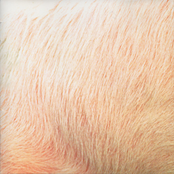 トラッシュNō.1