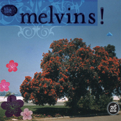 Disinvite by Melvins