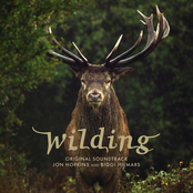 Wilding (original soundtrack)
