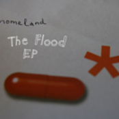 Flood by Homeland