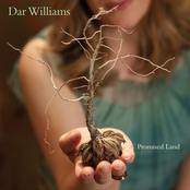 Midnight Radio by Dar Williams