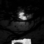 Winds of Madness Obscure (Demo)