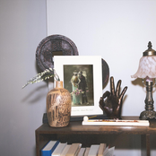 Who Saved Who: Pictures Have Sound