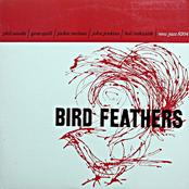 Bird Feathers (Remastered)