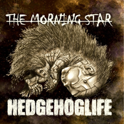 Hedgehoglife