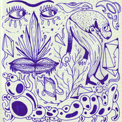 Zambullida en la Noche