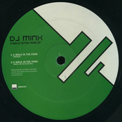 DJ Minx: A Walk In The Park