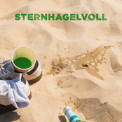 Sternhagelvoll