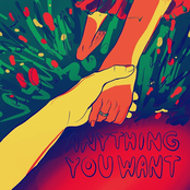 Anything You Want - Single