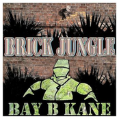 Brick Jungle by Bay B Kane