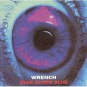 I Would Like To Touch A Naked Mind by Wrench