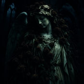 Каждый осколок