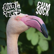 Anal Tits / Cum Sock - Split