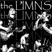 the limns