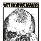 the faux hawks