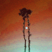 {(EHyg]3490yt --[-[38o[yy0t83434hfi,.[i]lSTOP!! STYOP ITIT SAIoeotujfufkc me notehr wehroe iwhIFiohaehiofhoFHIOFHIOHCIOJZO