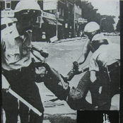 Violence is Understanding