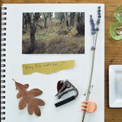 Hey, I'm Outside ... - Single