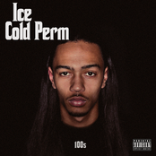 ice cold perm