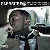 Did You Wrong by Pleasure P