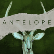 The Antelope