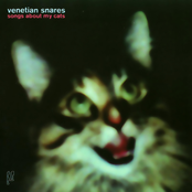 Cleaning Each Other by Venetian Snares