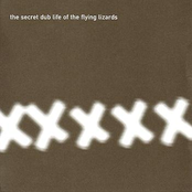 the secret dub life of the flying lizards