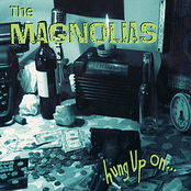 Stole Your Love by The Magnolias