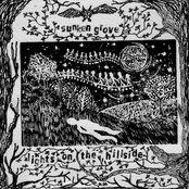 Lights on the Hillside