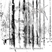Der Dunkelheit beraubt