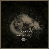Harakiri for the Sky: Aokigahara