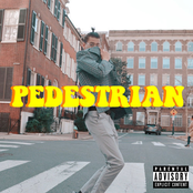 Pedestrian