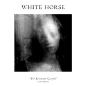 THE REVENANT GOSPELS - volume III