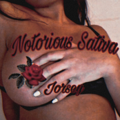 Notorious Sativa