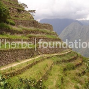 "Eu Ligo-te" soundtrack