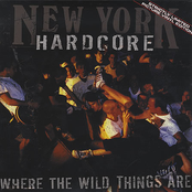 New York Hardcore: Where The Wild Things Are...